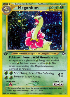 Pokémon Meganium 11/111