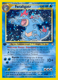 Pokémon Forretress 5/111