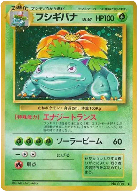 Venusaur Holo — Japanese Expansion Pack, 1996